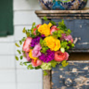 Meet your Posher, Amy